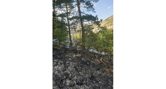 Gümüşhane’de orman içi örtü yangını korkuttu