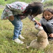 Köyün gençleri annesiz kalan yavru köpeği biberonla besliyor
