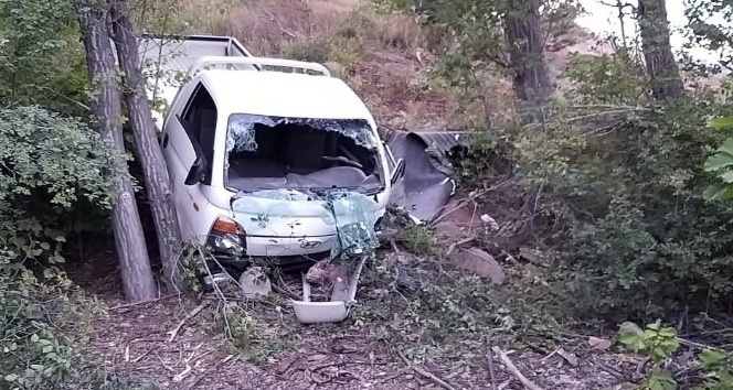 Gümüşhane’de kamyonet şarampole yuvarlandı: 2 yaralı