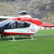 Ambulans helikopter Gümüşhaneli hasta için stada indi