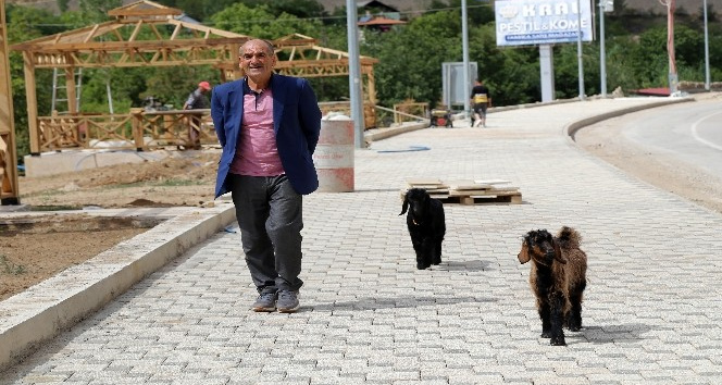 Her yere yavru keçileri ile gidiyor
