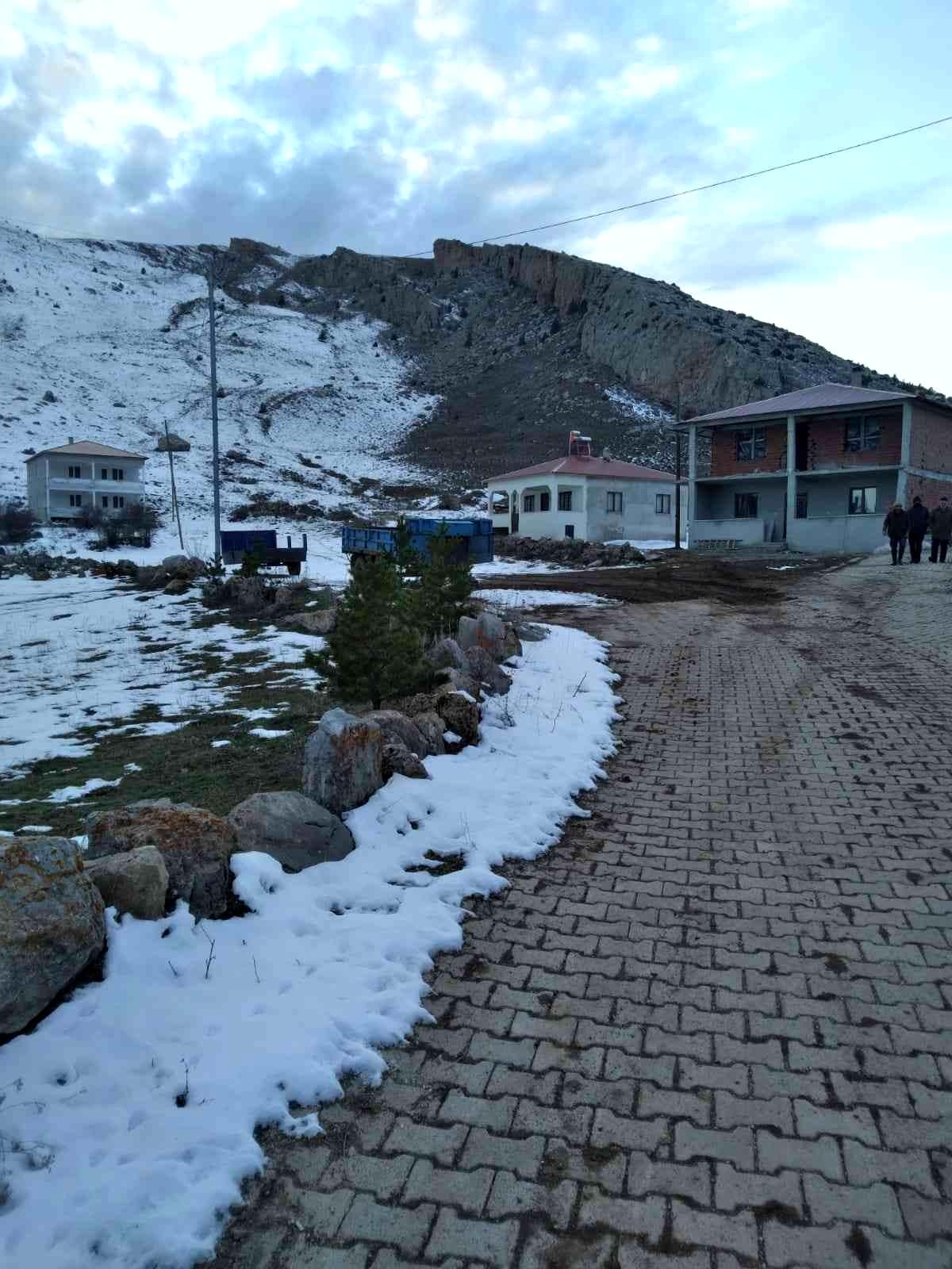 Ayıdan kaçarken yaralandı