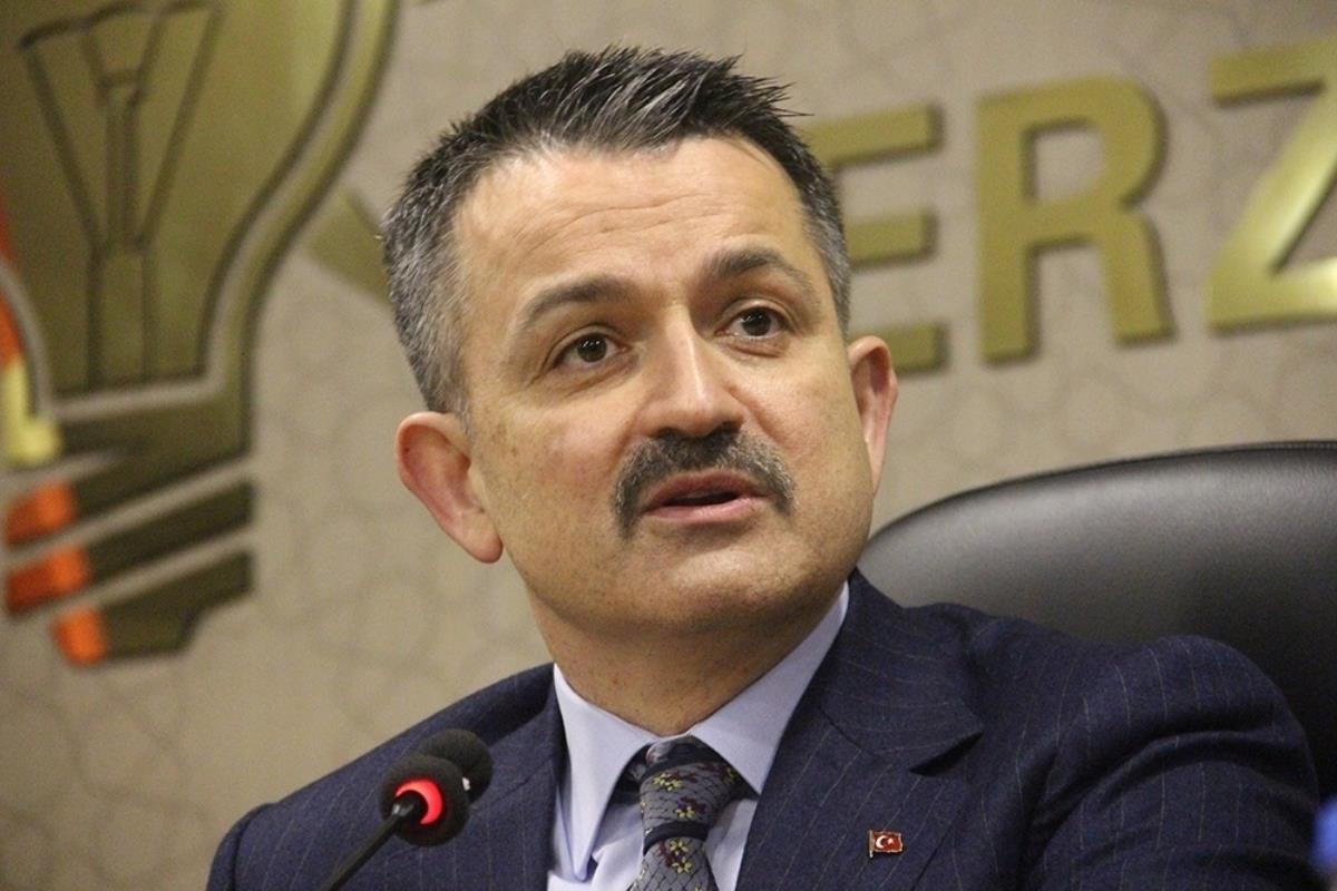 Bakan Pakdemirli: “1 milyon 368 bin 749 fidan dikimi ve 50 milyon TL’lik hibe ödemesi gerçekleştirdik”