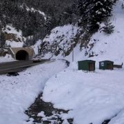 Gümüşhane’de sokak hayvanlarına şefkat eli