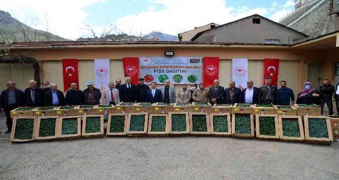 Gümüşhane’de üreticilere 150 bin sebze fidesi dağıtıldı