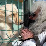 Barınaktaki yavru köpeklerin bakımsızlıktan öldüğü iddiası tepkilere neden oldu