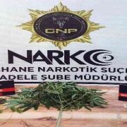 Gümüşhane’de uyuşturucu ticaretine darbe: 12 şüpheli yakalandı