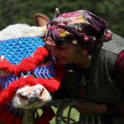 Gümüşhane’de yayla göçü başladı