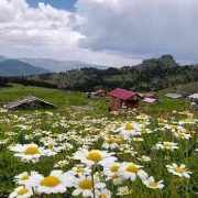 Gümüşhaneli doğaseverler Altınpınar Gölünde kamp kurdu
