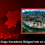 Erdoğan, Doğu Karadeniz Bölgesi’nde en çok oyu aldı