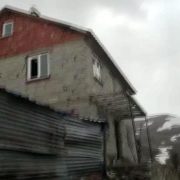 Gümüşhane’de ayılar yayla evlerine dadandı