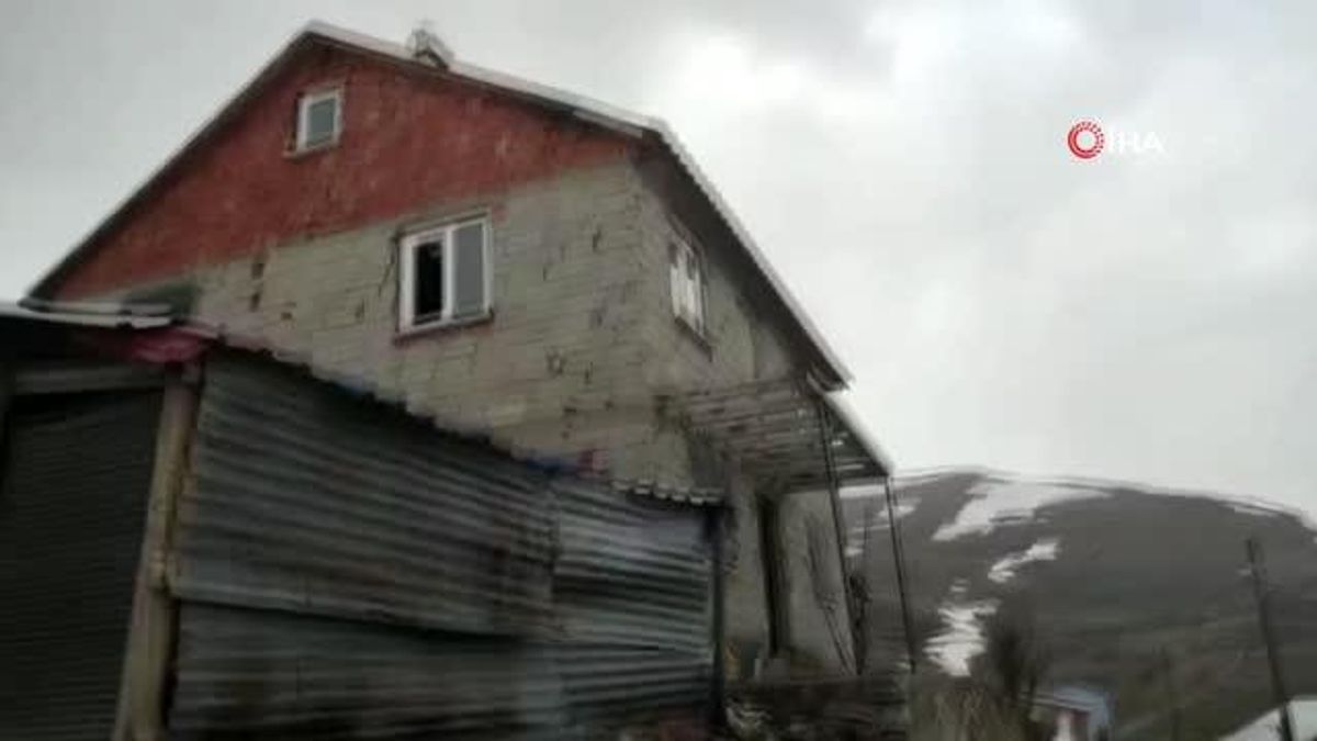 Gümüşhane’de ayılar yayla evlerine dadandı