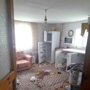 Gümüşhane’de ayılar yayla evlerine dadandı