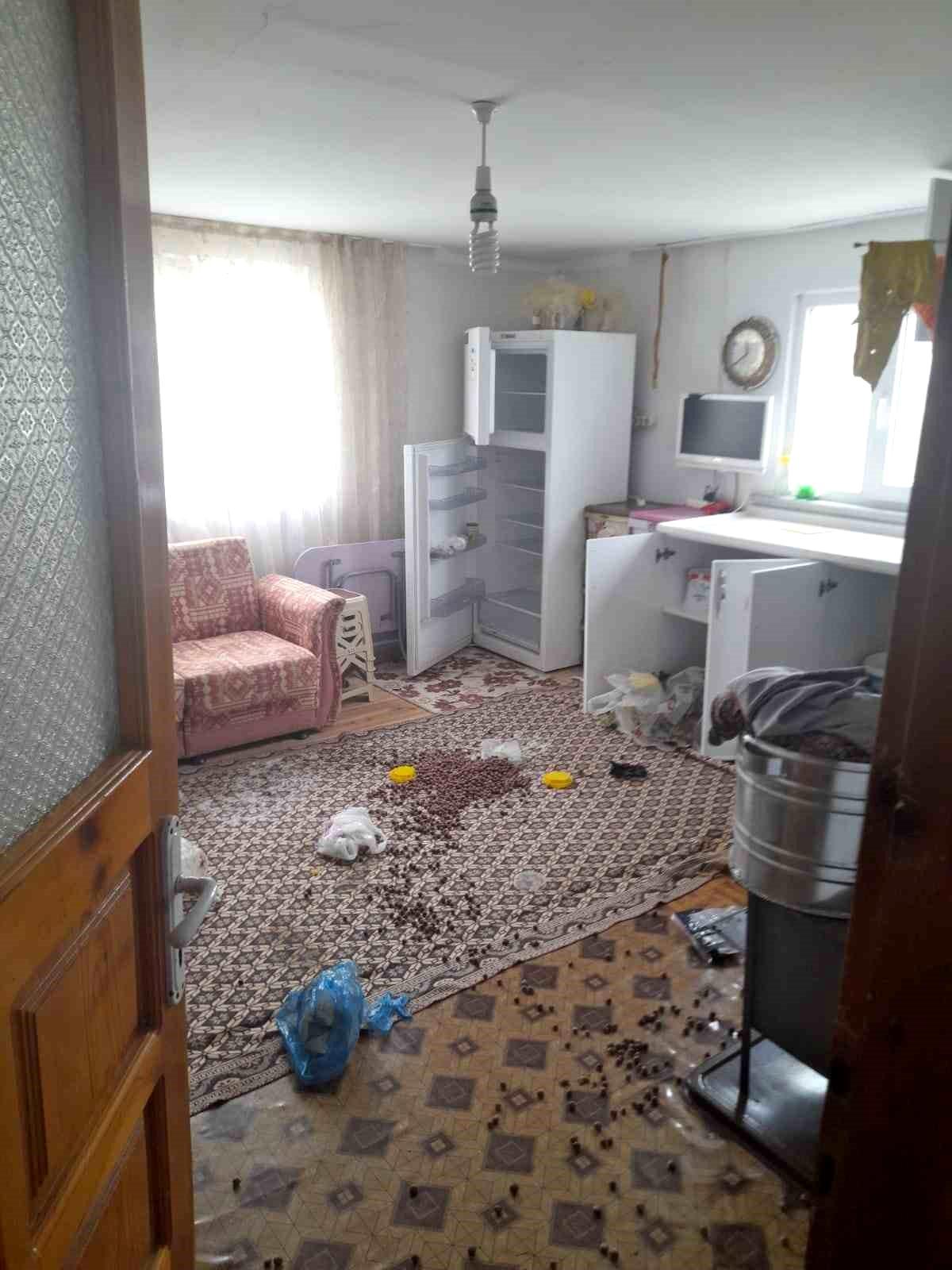 Gümüşhane’de ayılar yayla evlerine dadandı