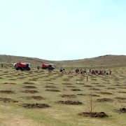 Moğolistan Çölleşmeyi Engellemek İçin Ağaç Dikim Çalışmalarını Artırıyor
