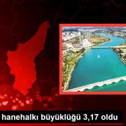 Ortalama hanehalkı büyüklüğü 3,17 oldu