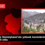 Trabzon ve Gümüşhane’nin yüksek kesimlerinde kar yağışı etkili oldu