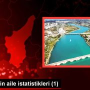 Türkiye’nin aile istatistikleri (1)