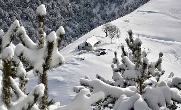 Zigana Dağında kar yağışı sonrası kartpostallık görüntüler #haberi, #haberleri, #Gümüşhane #haber