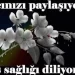 Hüseyin ÖZTÜRK Hakk’ın rahmetine kavuşmuştur #haberi, #haberleri, #Gümüşhane #haber