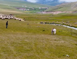 Türkiye’nin yayla cenneti Gümüşhane’de kartpostallık anlar #haberi, #haberleri, #Gümüşhane #haber