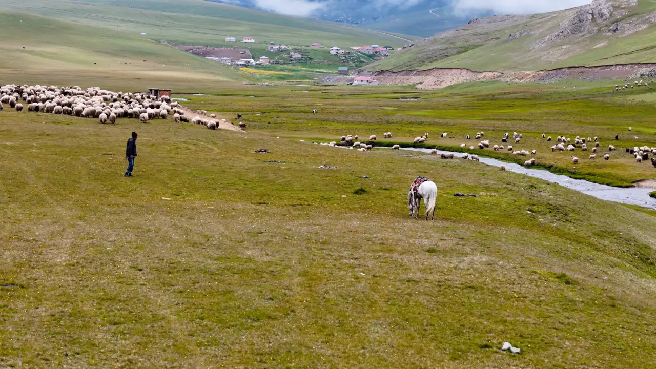 Türkiye’nin yayla cenneti Gümüşhane’de kartpostallık anlar #haberi, #haberleri, #Gümüşhane #haber