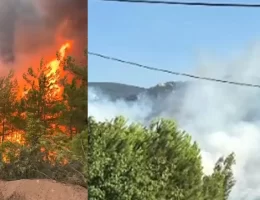 Gümüşhaneliler Geyve’de Alevlerle Mücadele Ediyor: “Bu Topraklar Hepimizin”