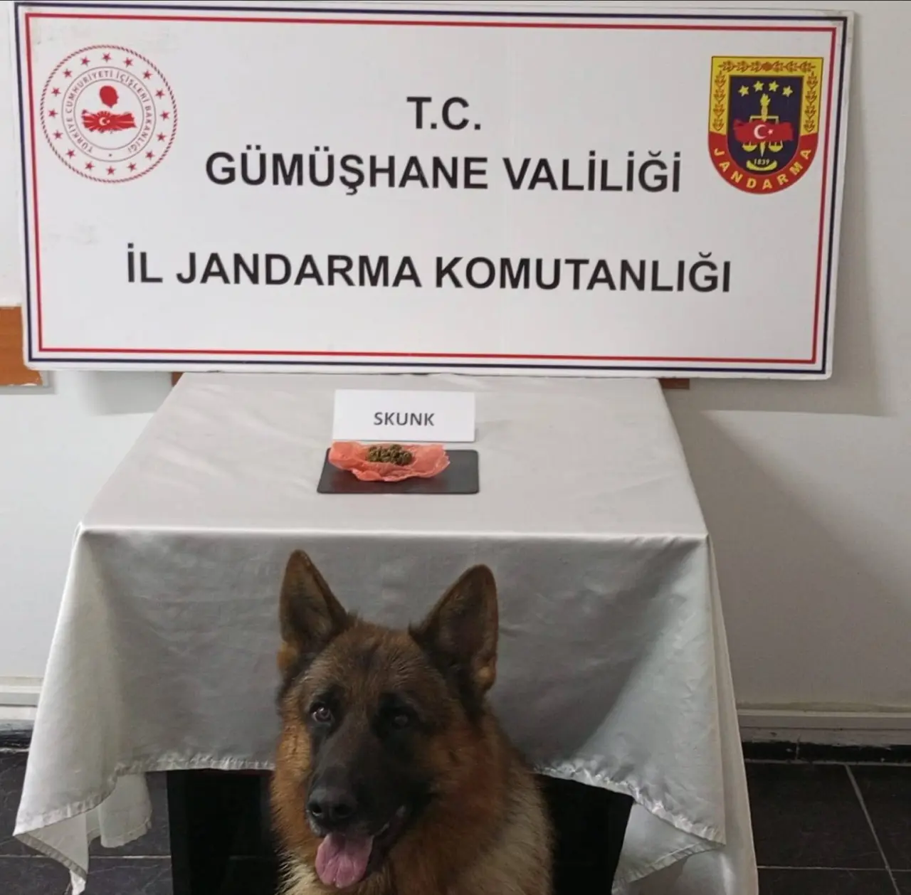 Uyuşturucuyu Trabzon’dan Gümüşhane’ye getiremediler