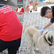 Dijital Kimlik İçin Son Tarih Yaklaşıyor