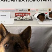 Jandarma affetmedi: Gümüşhane’de zehir tacirlerine suçüstü