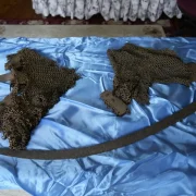 Güvenç Abdal’ın Kılıcı ve Zırhı Gümüşhane’de Korunuyor
