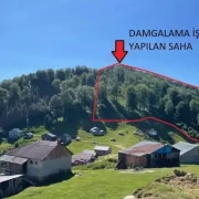 Kürtün Kızılali Yaylası’ndaki orman kesimi iptal edildi