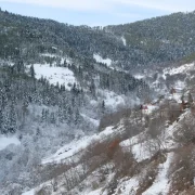 ‘Manzara On Numara!’ Gümüşhane’de Şehrin Gürültüsünden Kaçanlar Torul’un Zirvesinde Buluştu!