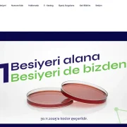 Mikrobiyolojide Güvenilir Çözümler: Hazır Besiyerinin Önemi