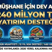4 stratejik sektöre tam destek