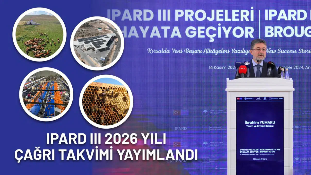 241 Milyon Avro Hibe Desteği