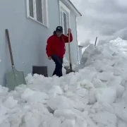 Ayılar bu kez kapıdan değil 2.katın penceresinden girdi!