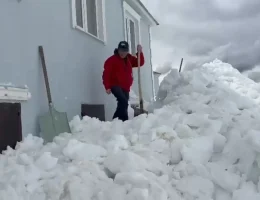 Ayılar bu kez kapıdan değil 2.katın penceresinden girdi!