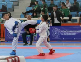 19 ilden 247 sporcu yarışacak