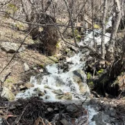 Godanas Ormanlarını 14 kilometre yürüyerek aştılar!