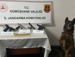 Jandarma’dan ruhsatsız silah operasyonu