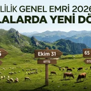 Mera ve Yaylaklarda İzinsiz Otlatmaya Ağır Yaptırım