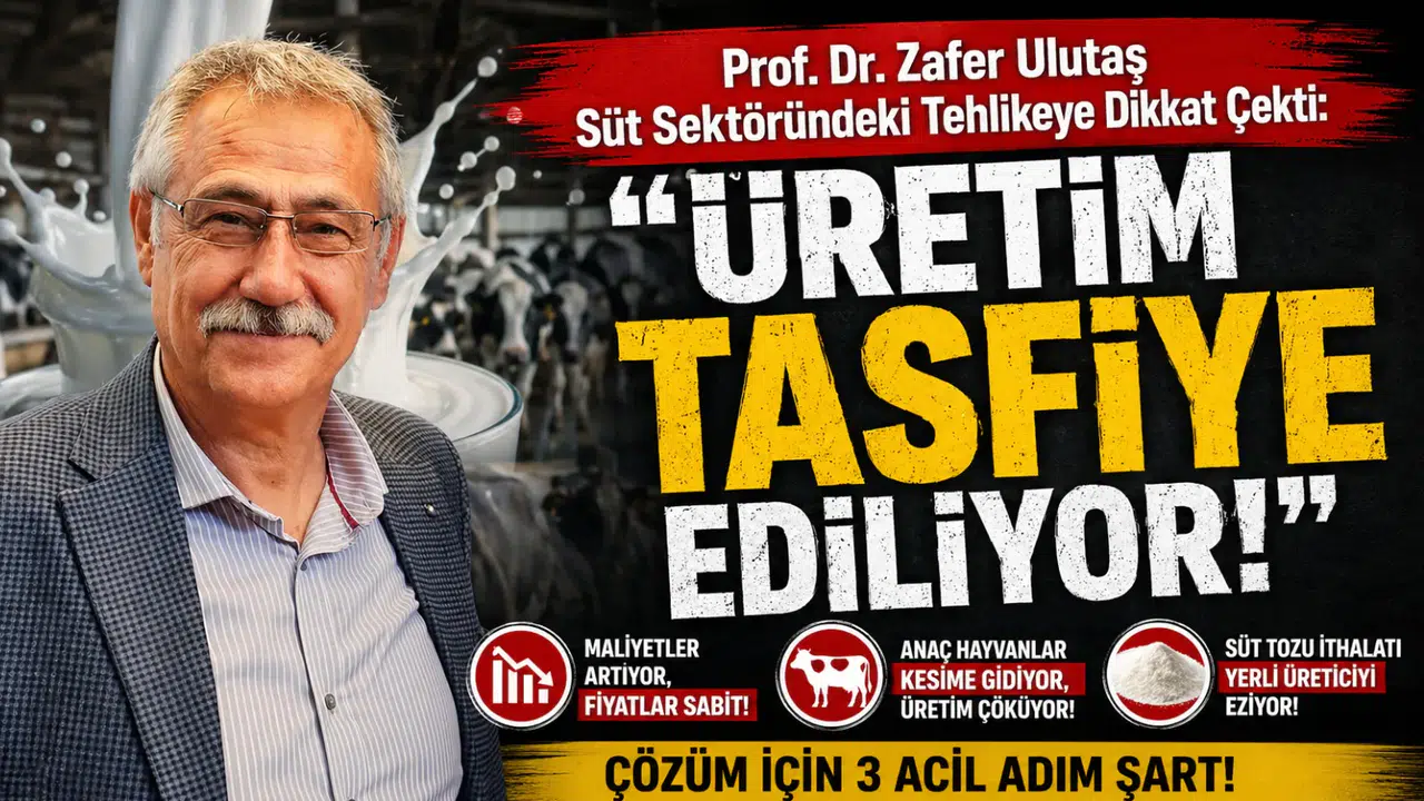 Prof. Dr. Zafer Ulutaş Süt Sektöründeki Tehlikeye Dikkat Çekti: Üretim Tasfiye Ediliyor