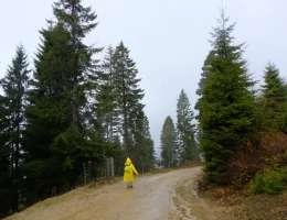 Sisler Altında 11 Kilometrelik Vefa Rotası: Gümüşhaneli dağcılar Tohtamur Yaylasında