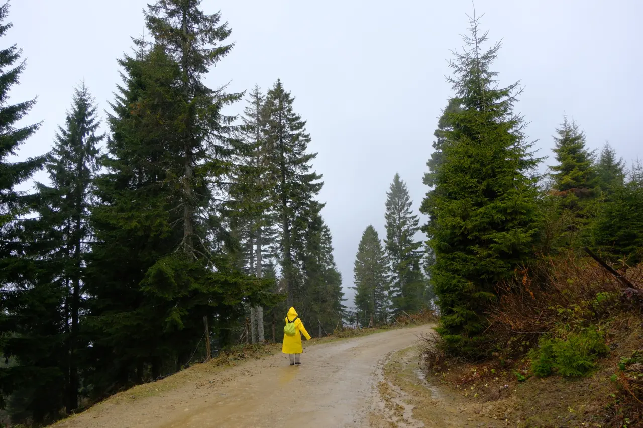 Sisler Altında 11 Kilometrelik Vefa Rotası: Gümüşhaneli dağcılar Tohtamur Yaylasında