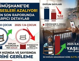 Gümüşhane’de Beşik Sesleri Azalıyor! TÜİK’in Son Raporunda Çarpıcı Gümüşhane Detayları