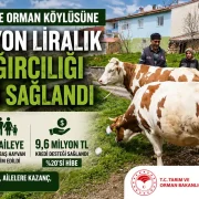 Gümüşhane’de Orman Köylüsüne 9,6 Milyon Liralık Süt Sığırcılığı Desteği Sağlandı