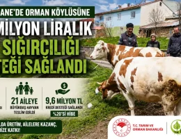 Gümüşhane’de Orman Köylüsüne 9,6 Milyon Liralık Süt Sığırcılığı Desteği Sağlandı