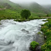 Görenler Alpler Sanıyor Ama Burası Gümüşhane! Gümüşhane’deki O Yayla Ziyaretçilerini Büyülüyor