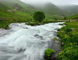 Görenler Alpler Sanıyor Ama Burası Gümüşhane! Gümüşhane’deki O Yayla Ziyaretçilerini Büyülüyor